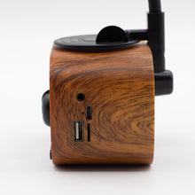 Load image into Gallery viewer, Retro Mini Gramophone Speaker - Bluetooth &amp; FM Radio